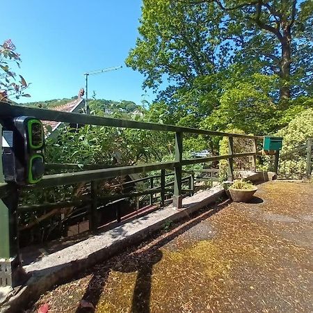Treetop Cottage At Countisbury Lodge ลินมัธ ภายนอก รูปภาพ