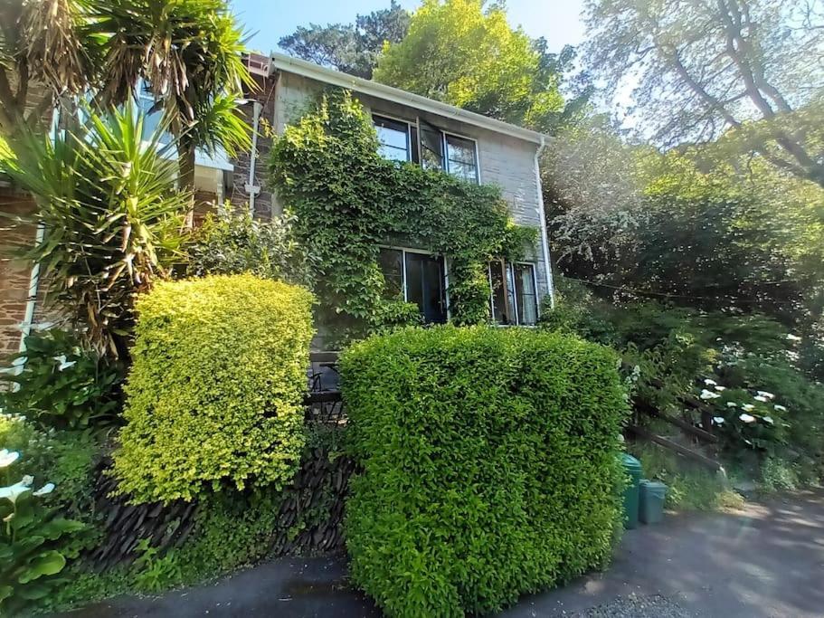 Treetop Cottage At Countisbury Lodge ลินมัธ ภายนอก รูปภาพ